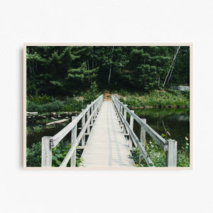Killarney Provincial Park print - footbridge into the forest.