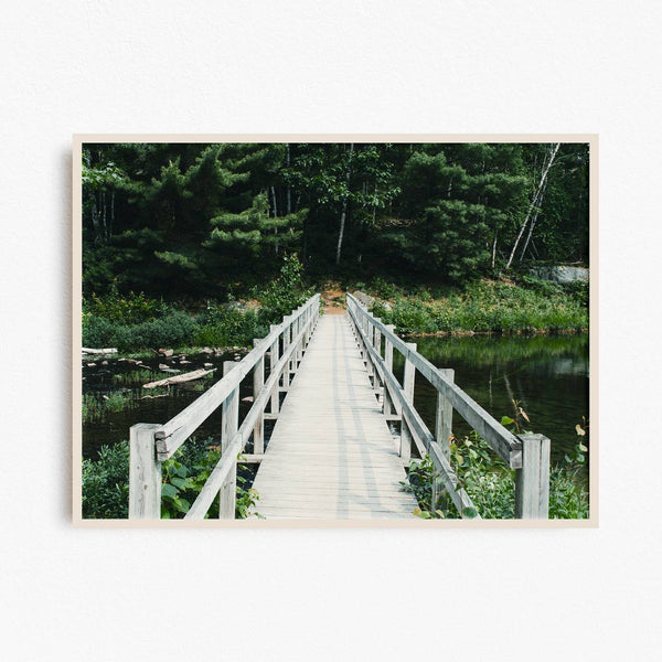 Killarney Provincial Park print - footbridge into the forest.