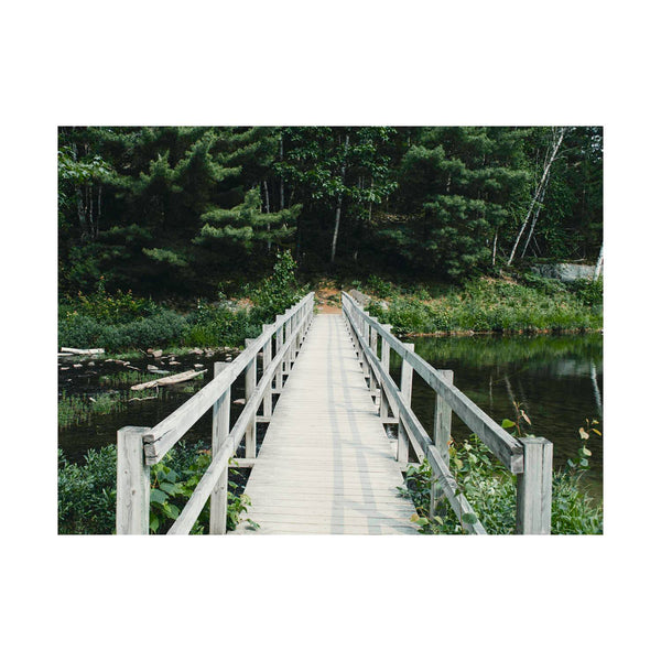 Killarney Provincial Park - A Path To The Mysterious Forest