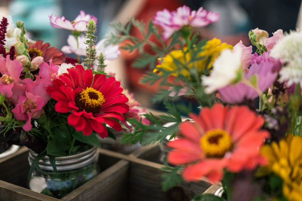 Vintage Summer Floral Collection