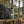 Spruce Trees Stainless Steel Water Bottle