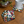 Vintage summer floral coaster pack with a white cup on a table - from Spruce and Heron.