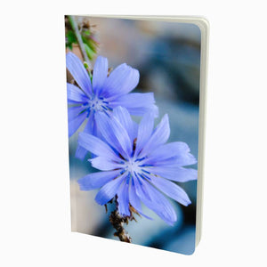 Front cover of Blue Chicory Notebook - Small Size  5" x 8.25" - 48 pages by Spruce and Heron
