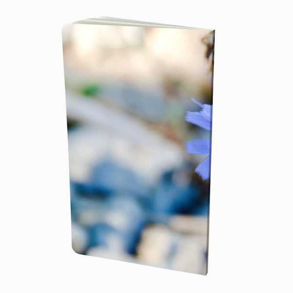 Back cover of Blue Chicory Notebook - Small Size  5" x 8.25" - 48 pages by Spruce and Heron