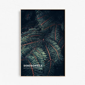 Dendrophile art print - Spruce tree art print